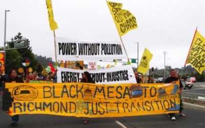 The Roots and Shoots of Just Transition